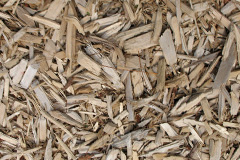 biomass boilers Trederwen