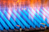 Trederwen gas fired boilers